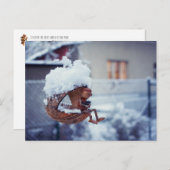 Acorn Elf fütternd Vögel Winterpostkarte Postkarte (Vorne/Hinten)
