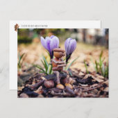 Acorn elf gewartet für die Federpostkarte Postkarte (Vorne/Hinten)