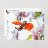 Acorn elf girl as tulip fairy spring postcard postkarte (Vorne/Hinten)