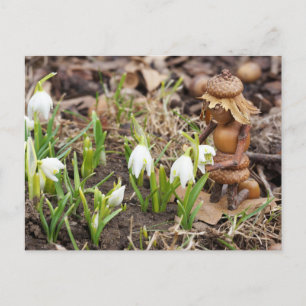 Acorn Elf Girl mit Schneeflocke-Blume Frühjahr Postkarte