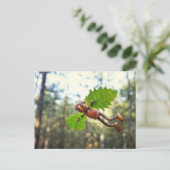 Acorn elf Ikaros Flyer - Postübergabe Postkarte (Stehend Vorderseite)
