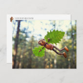 Acorn elf Ikaros Flyer - Postübergabe Postkarte (Vorne/Hinten)