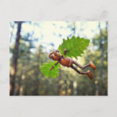 Acorn elf Ikaros Flyer - Postübergabe Postkarte (Vorderseite)