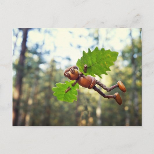 Acorn elf Ikaros Flyer - Postübergabe Postkarte (Vorderseite)