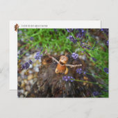 Acorn elf im Regen Postkarte (Vorne/Hinten)