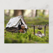 Acorn elf im Zelt auf dem Campingplatz Postkarte (Vorderseite)
