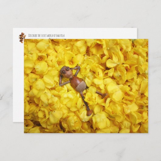 Acorn elf in der Blume Blätter Postkarte (Vorne/Hinten)