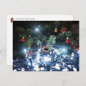 Acorn-Elf in Weihnachtsbeleuchtung verstrickt - We Postkarte (Vorne/Hinten)