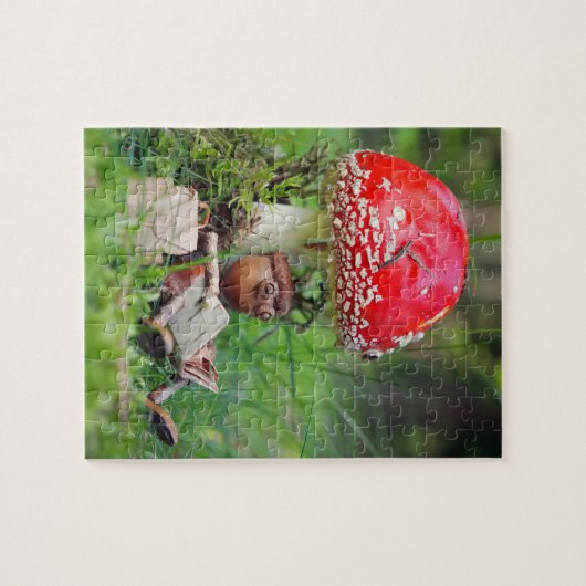 Acorn elf las ein Puzzle (Horizontal)