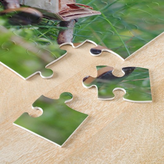 Acorn elf las ein Puzzle (Seite)