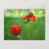 Acorn elf Mädchen als Tulpenmärchen Frühlingskarte Postkarte (Vorderseite)
