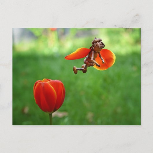 Acorn elf Mädchen als Tulpenmärchen Frühlingskarte Postkarte (Vorderseite)