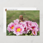 Acorn elf Mädchen auf der Frühling-Blume Postkarte (Vorne/Hinten)