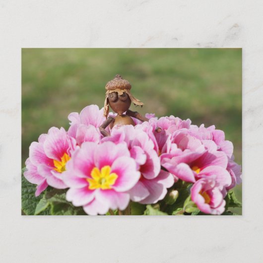 Acorn elf Mädchen auf der Frühling-Blume Postkarte (Vorderseite)