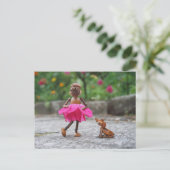 Acorn Elf Mädchen in einem rosa Kleid mit Hundesch Postkarte (Stehend Vorderseite)