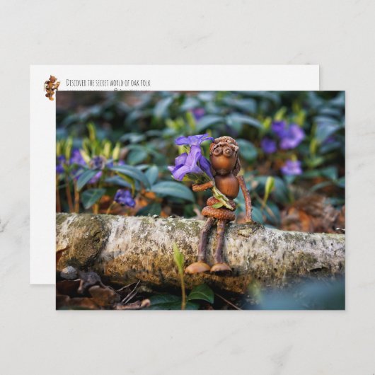 Acorn elf Mädchen mit Blume Postkarte (Vorne/Hinten)
