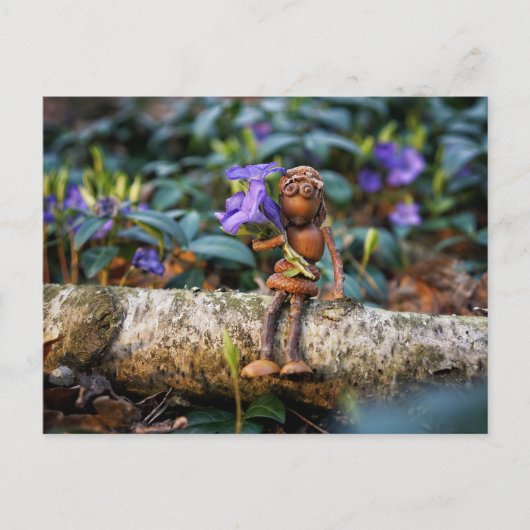 Acorn elf Mädchen mit Blume Postkarte (Vorderseite)