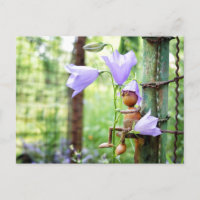 Acorn Elf mit blauen Glocken Blume Sommer