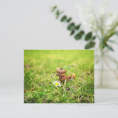 Acorn elf mit daisy Blume Federung Postkarte (Stehend Vorderseite)