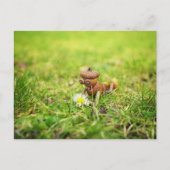 Acorn elf mit daisy Blume Federung Postkarte (Vorderseite)