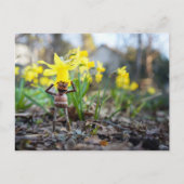 Acorn elf mit dicken Blume Frühling Postkarte (Vorderseite)