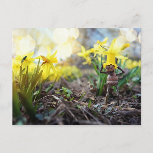 Acorn elf mit dicken Blume Frühling Postkarte (Vorderseite)