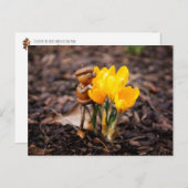 Acorn-Elf mit gelber Blume Postkarte (Vorne/Hinten)