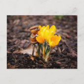 Acorn-Elf mit gelber Blume Postkarte (Vorderseite)