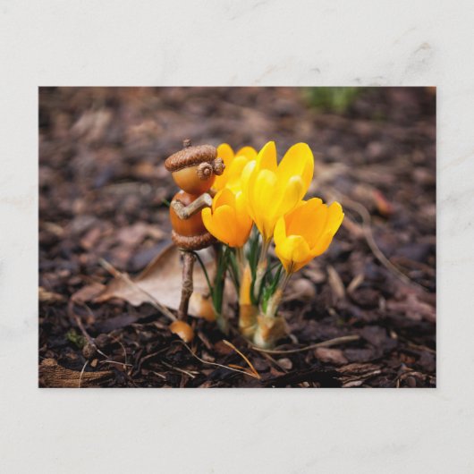 Acorn-Elf mit gelber Blume Postkarte (Vorderseite)