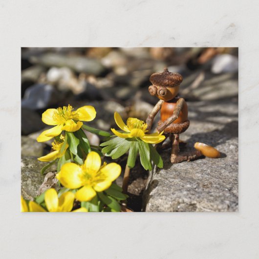 Acorn-Elf mit gelber Feder-Blume Postkarte (Vorderseite)