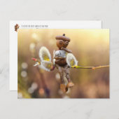 Acorn Elf mit Katkins Feder Postkarte (Vorne/Hinten)