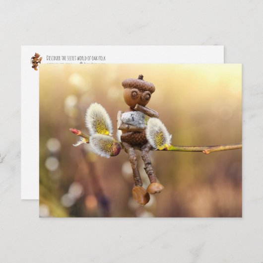 Acorn Elf mit Katkins Feder Postkarte (Vorne/Hinten)