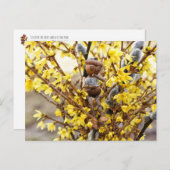 Acorn Elf mit Katkins Feder Postkarte (Vorne/Hinten)