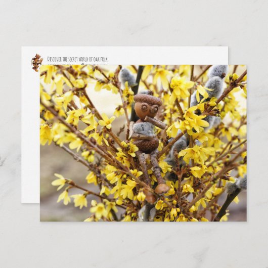 Acorn Elf mit Katkins Feder Postkarte (Vorne/Hinten)