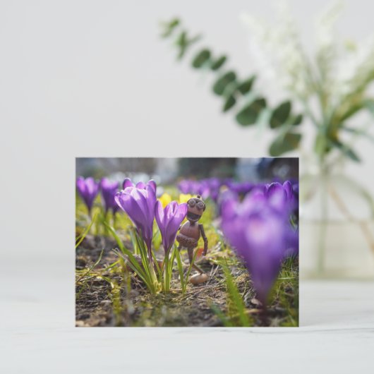 Acorn-Elf mit lila Krokus-Blume Postkarte (Stehend Vorderseite)
