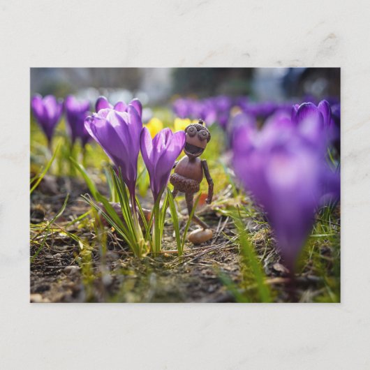 Acorn-Elf mit lila Krokus-Blume Postkarte (Vorderseite)