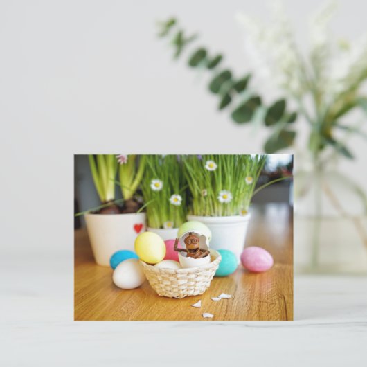 Acorn Elf mit Ostereiern Ostern Postkarte (Stehend Vorderseite)