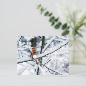 Acorn Elf mit Schneeball - Winterpostkarte Postkarte (Stehend Vorderseite)
