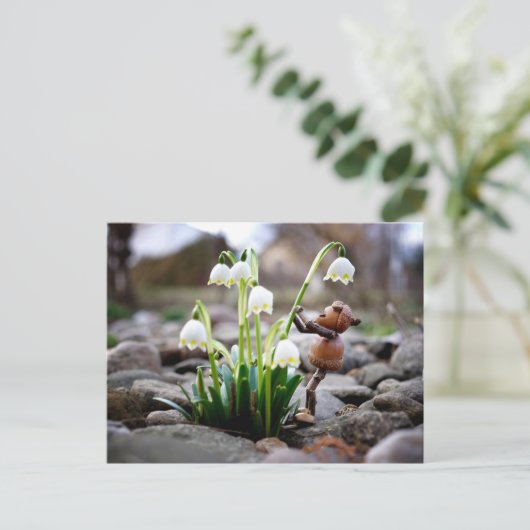 Acorn Elf mit Schneeflocke Blume Postkarte (Stehend Vorderseite)