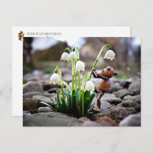 Acorn Elf mit Schneeflocke Blume Postkarte (Vorne/Hinten)