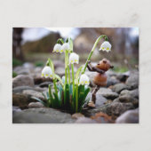 Acorn Elf mit Schneeflocke Blume Postkarte (Vorderseite)