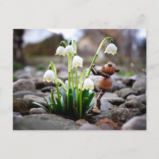 Acorn Elf mit Schneeflocke Blume Postkarte (Vorderseite)