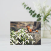 Acorn Elf mit Schneeflocke Blume Postkarte (Stehend Vorderseite)