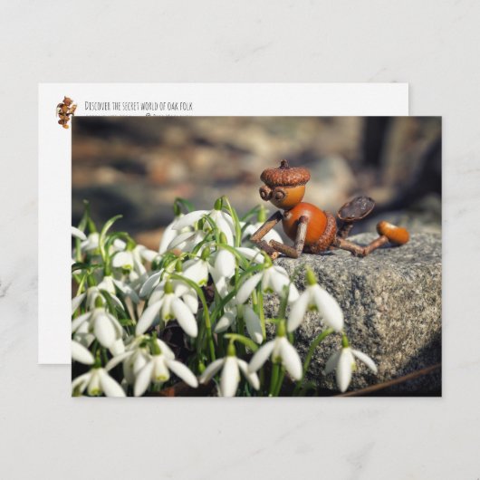 Acorn Elf mit Schneeflocke Blume Postkarte (Vorne/Hinten)