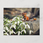 Acorn Elf mit Schneeflocke Blume Postkarte (Vorderseite)