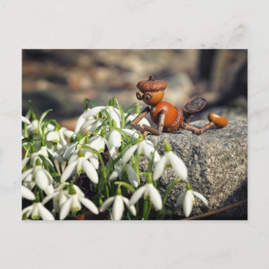 Acorn Elf mit Schneeflocke Blume Postkarte (Vorderseite)