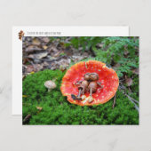Acorn Elf Paar auf dem Pilz Postkarte (Vorne/Hinten)