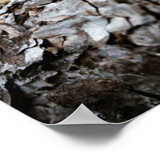 Acorn elf Rad fahren ohne Plakat zu halten (Ecke)