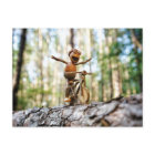 Acorn elf Rad fahren ohne zu halten