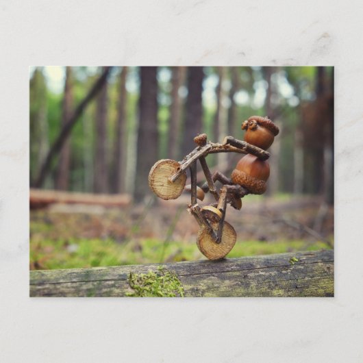 Acorn elf Rad-Postkarte Postkarte (Vorderseite)